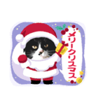 うちのにゃんこちぃ（個別スタンプ：2）
