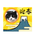 うちのにゃんこちぃ（個別スタンプ：4）