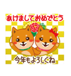 柴犬「ムサシ」27 年末年始2 復刻版（個別スタンプ：4）