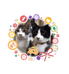 うらうらうらら（個別スタンプ：5）