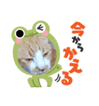 うらうらうらら（個別スタンプ：7）