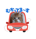 うらうらうらら（個別スタンプ：8）