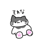 をたねこ に（個別スタンプ：11）