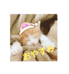 野田家ふぁみりー（個別スタンプ：1）