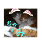 野田家ふぁみりー（個別スタンプ：3）