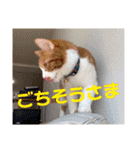 野田家ふぁみりー（個別スタンプ：5）