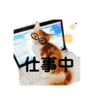 野田家ふぁみりー（個別スタンプ：16）
