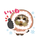 野田家ふぁみりー（個別スタンプ：17）
