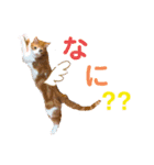野田家ふぁみりー（個別スタンプ：22）