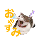 野田家ふぁみりー（個別スタンプ：31）
