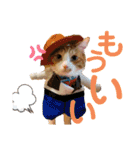 野田家ふぁみりー（個別スタンプ：32）