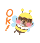野田家ふぁみりー（個別スタンプ：38）