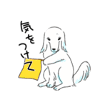 【犬】日常使いワード集（個別スタンプ：6）