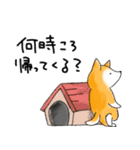 【犬】日常使いワード集（個別スタンプ：7）