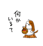 【犬】日常使いワード集（個別スタンプ：24）