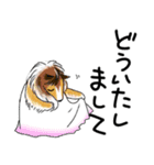 【犬】日常使いワード集（個別スタンプ：27）