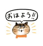 猫のハムちゃん【冬のごあいさつ】（個別スタンプ：23）