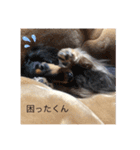うちのきかん坊（個別スタンプ：2）