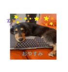 うちのきかん坊（個別スタンプ：3）