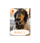 うちのきかん坊（個別スタンプ：4）