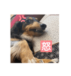 うちのきかん坊（個別スタンプ：5）