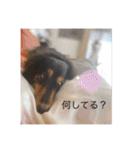 うちのきかん坊（個別スタンプ：6）