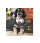 うちのきかん坊（個別スタンプ：7）