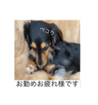 うちのきかん坊（個別スタンプ：12）