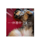 うちのきかん坊（個別スタンプ：14）