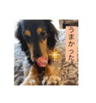 うちのきかん坊（個別スタンプ：16）