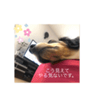 うちのきかん坊（個別スタンプ：21）