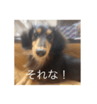うちのきかん坊（個別スタンプ：22）