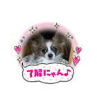 ふぽぷぽ（個別スタンプ：1）