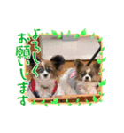 ふぽぷぽ（個別スタンプ：8）