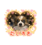 ふぽぷぽ（個別スタンプ：9）