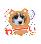 ふぽぷぽ（個別スタンプ：12）