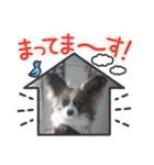 ふぽぷぽ（個別スタンプ：15）