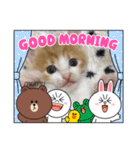 むむの子猫の時のかわいいスタンプだよ（個別スタンプ：1）