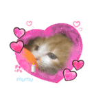 むむの子猫の時のかわいいスタンプだよ（個別スタンプ：2）