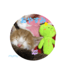 むむの子猫の時のかわいいスタンプだよ（個別スタンプ：3）