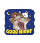 むむの子猫の時のかわいいスタンプだよ（個別スタンプ：5）