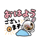 むむの子猫の時のかわいいスタンプだよ（個別スタンプ：6）