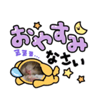むむの子猫の時のかわいいスタンプだよ（個別スタンプ：8）