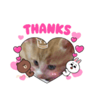 むむの子猫の時のかわいいスタンプだよ（個別スタンプ：9）