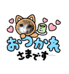 むむの子猫の時のかわいいスタンプだよ（個別スタンプ：11）