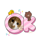 むむの子猫の時のかわいいスタンプだよ（個別スタンプ：14）