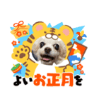 ゆめの毎日スタンプ6（個別スタンプ：4）