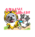 ゆめの毎日スタンプ6（個別スタンプ：6）