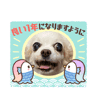 ゆめの毎日スタンプ6（個別スタンプ：7）