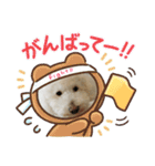 マシュマロくんと。（個別スタンプ：5）